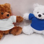 -283-17cm-Teddy-Bear-150x150